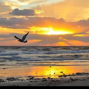 Meet your Posher, Eva